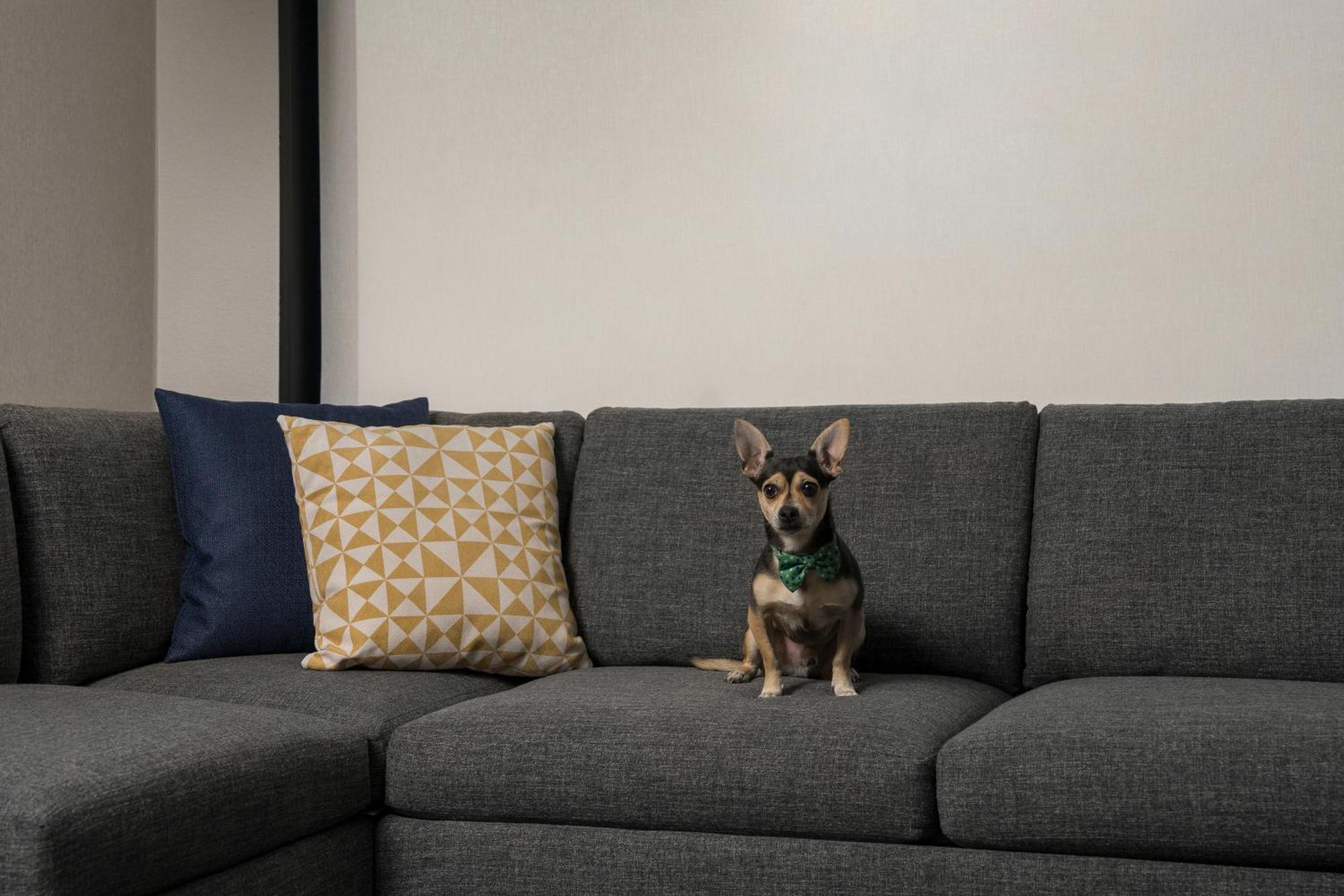 Hyatt Place Denver Cherry Creek Eksteriør billede